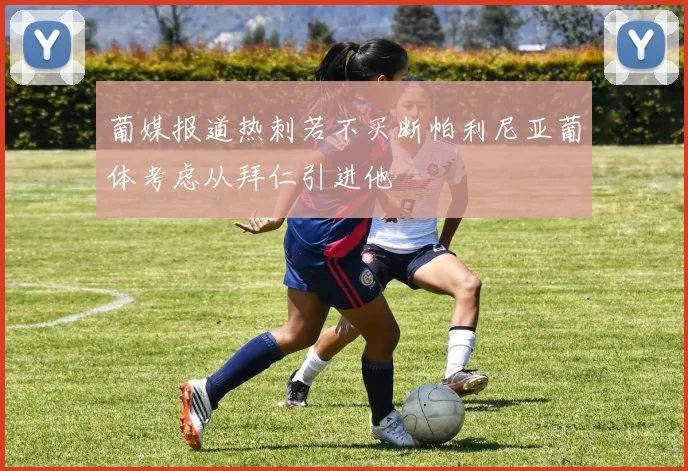 葡媒报道热刺若不买断帕利尼亚葡体考虑从拜仁引进他
